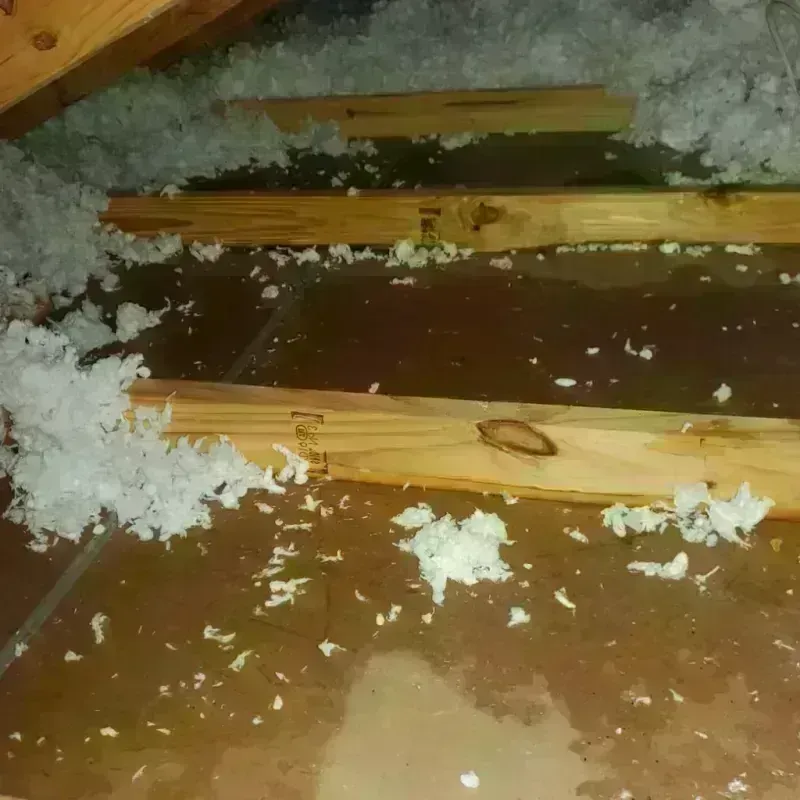 Attic Water Damage in Hamlet, NC