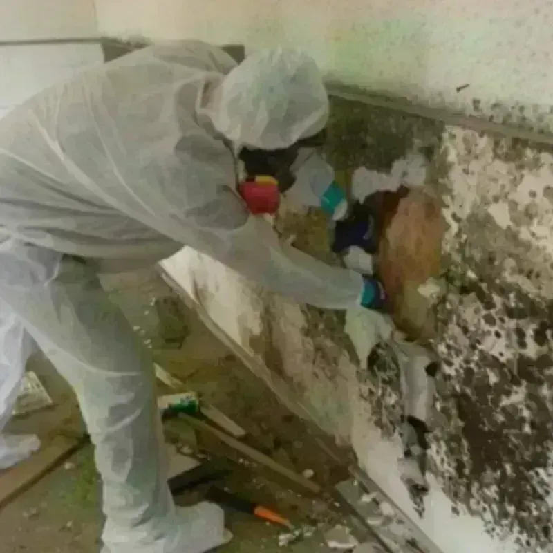 Best Mold Remediation and Removal Service in Hamlet, NC