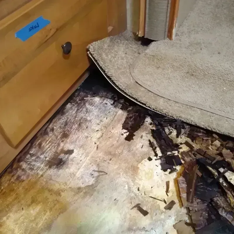 Wood Floor Water Damage in Hamlet, NC